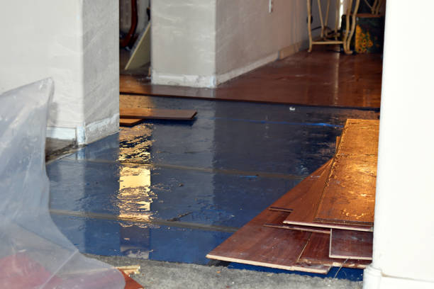 Professional Water Extraction technician working in Round Mountain, TX